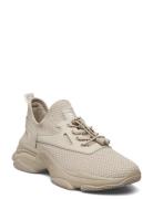 Match-E Sneaker Matalavartiset Sneakerit Tennarit Beige Steve Madden