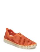 Tulip Slip-In Tennarit Sneakerit Orange Ilse Jacobsen