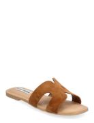 Zarnia Sandal Matalapohjaiset Sandaalit Brown Steve Madden