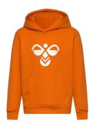 Hmlcuatro Hoodie Sport Sweat-shirts & Hoodies Hoodies Orange Hummel