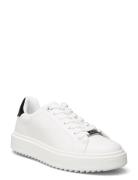 Catcher Sneaker Matalavartiset Sneakerit Tennarit White Steve Madden