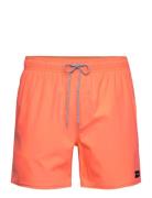 Daily Volley Uimashortsit  Rip Curl