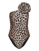 Carriecras Swimsuit Uimapuku Uima-asut Brown Cras