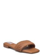 Allure Sandal Matalapohjaiset Sandaalit Brown Steve Madden