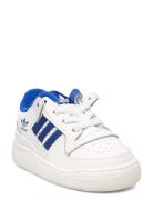 Forum Low Cl El I Matalavartiset Sneakerit Tennarit White Adidas Origi...