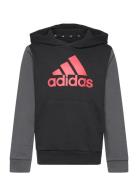 J Bl Cb Hd Tops Sweat-shirts & Hoodies Hoodies Black Adidas Sportswear