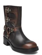 Becase Boot Shoes Boots Ankle Boots Ankle Boots With Heel Brown Steve ...