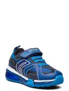 J Bayonyc Boy A Matalavartiset Sneakerit Tennarit Blue GEOX