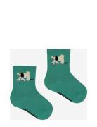 Baby Fairy Dog Short Socks Sukat Green Bobo Choses