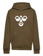 Hmlcuatro Hoodie Sport Sweat-shirts & Hoodies Hoodies Green Hummel