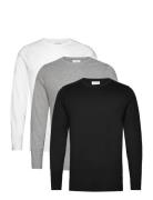 3Pk Basic Tee L/S Tops T-shirts Long-sleeved Black Lindbergh