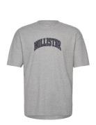 Hco. Guys Graphics Tops T-shirts Short-sleeved Grey Hollister