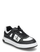 Calvin Klein Jeans Low-Cut Lace-Up Sneaker Matalavartiset Sneakerit Te...