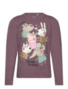 Nmfamanda Peppapig Ls Top Box Cplg Tops T-shirts Long-sleeved T-shirts...