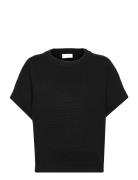 Fqani-Pu-Bat Tops Knitwear Jumpers Black FREE/QUENT