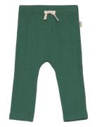 Pants Modal Bottoms Leggings Green Petit Piao