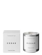 Tgc008 Cedar Bougie Parfumée Tuoksukynttilä Nude Tangent GC