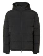 Slhcooper Puffer Jkt Noos Vuorillinen Takki Topattu Takki Black Select...