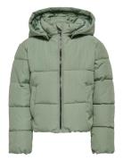 Kmgdolly Life Short Puf Jacket Otw Noos Toppatakki Green Kids Only