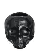 Still Life Skull Ljuslykta Home Decoration Decorative Accessories-deta...