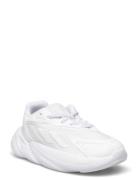 Ozelia El C Sport Sneakers Low-top Sneakers White Adidas Originals