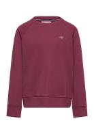 Shield C-Neck Tops Sweat-shirts & Hoodies Sweat-shirts Burgundy GANT