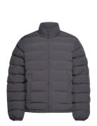 Ayu Padded Jacket Vuorillinen Takki Topattu Takki Black Daily Paper