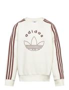 Crew Tops Sweat-shirts & Hoodies Sweat-shirts Beige Adidas Originals