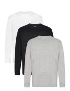 Hco. Guys Knits Tops T-shirts Long-sleeved Grey Hollister