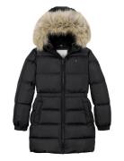 Long Waisted Down Jacket Toppatakki Black Tommy Hilfiger