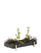 Botanic Tray Home Decoration Flower Pots Black Design House Stockholm