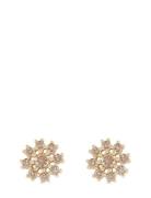 Trinnie Round Ear G/Champagne - Accessories Jewellery Earrings Studs G...