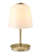 Room 49 Home Lighting Lamps Table Lamps Gold Halo Design