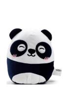 Squidglys Scratch The Adorasaur Reversible Glow In The Dark Plush Toy ...