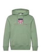 Reg Archive Shield Hoodie Tops Sweat-shirts & Hoodies Hoodies Khaki Gr...