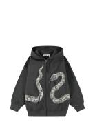 Mazzo Tops Sweat-shirts & Hoodies Hoodies Grey Molo