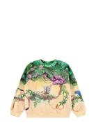 Maxi Tops Sweat-shirts & Hoodies Sweat-shirts Green Molo