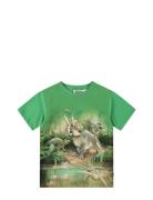 Riley Tops T-shirts Short-sleeved Green Molo