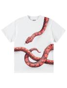 Rubin Tops T-shirts Short-sleeved White Molo