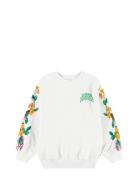 Monti Tops Sweat-shirts & Hoodies Sweat-shirts White Molo