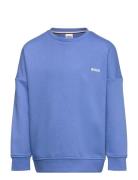 Sweatshirt Tops Sweat-shirts & Hoodies Sweat-shirts Blue BOSS