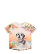 Raeesa Tops T-shirts Short-sleeved Pink Molo