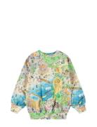 Monti Tops Sweat-shirts & Hoodies Sweat-shirts Grey Molo