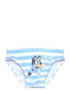 Swimsuit Bikinit Blue Bluey