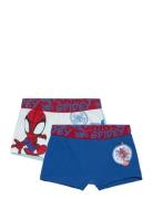 Boxer Alusvaatteet Blue Spider-man