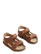 Sandal Corey Shoes Summer Shoes Sandals Brown Wheat