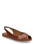 Ballerina Ballerinat Brown Billi Bi
