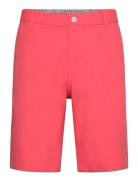 Dealer Short 10" Sport Shorts Sport Shorts Pink PUMA Golf