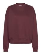 Standard Sweatshirt Tops Sweat-shirts & Hoodies Sweat-shirts Burgundy ...