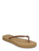 Vivi Flip Flop Flipflopit Rantasandaalit Sandaalit Beige BUSNEL